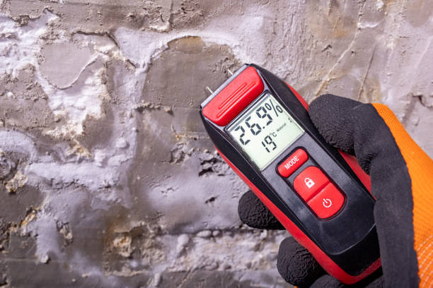 Best Attic Mold Remediation in Seabrook Island, SC