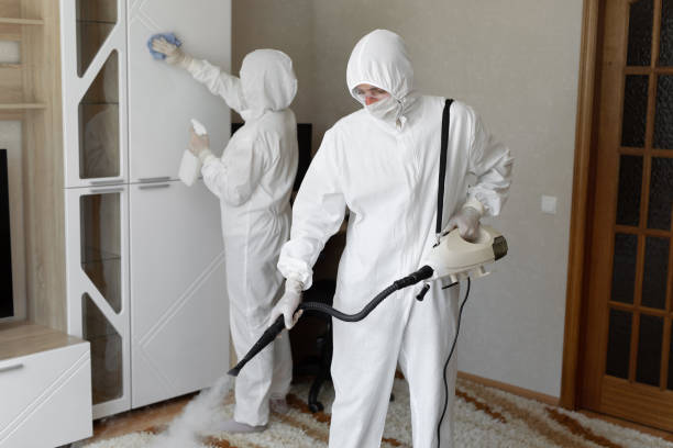 Best Post-Flood Mold Remediation in Seabrook Island, SC