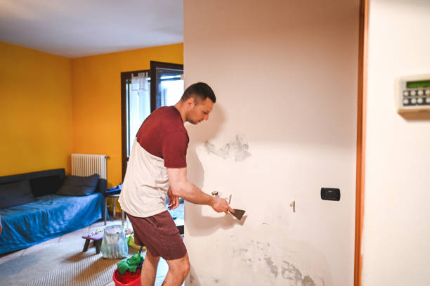 Best DIY Mold Remediation Support Services in Seabrook Island, SC